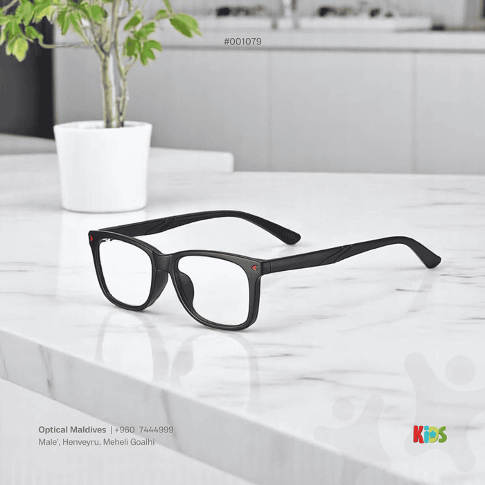 EG1079 | OPTICAL FRAME
