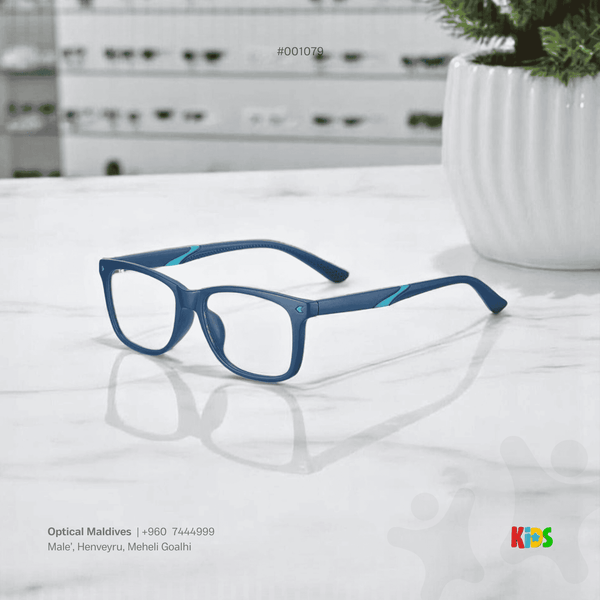EG1079 | OPTICAL FRAME