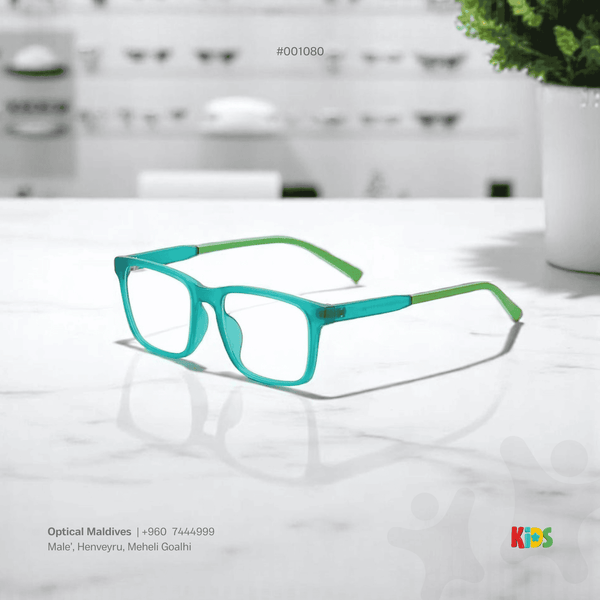 EG1080 | OPTICAL FRAME