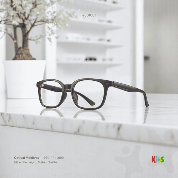 EG1081 | OPTICAL FRAME