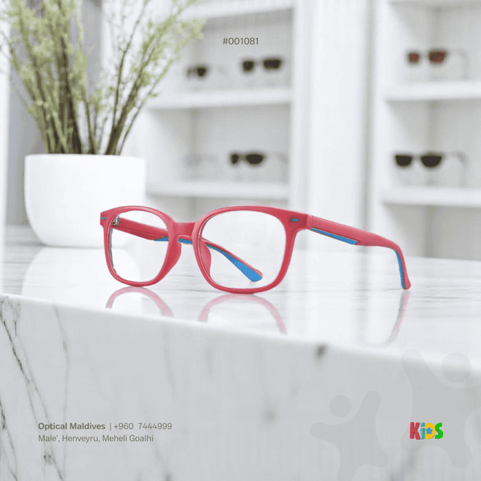 EG1081 | OPTICAL FRAME