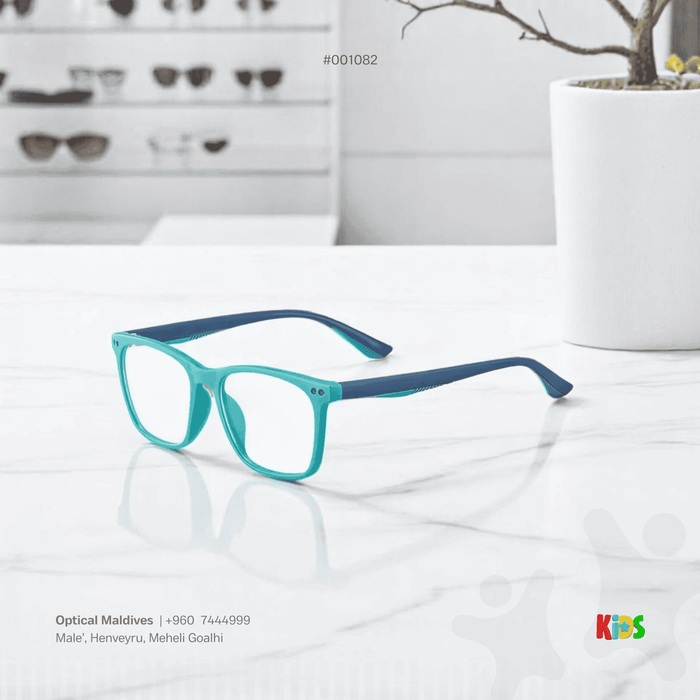 EG1082 | OPTICAL FRAME