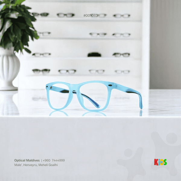 EG1083 | OPTICAL FRAME