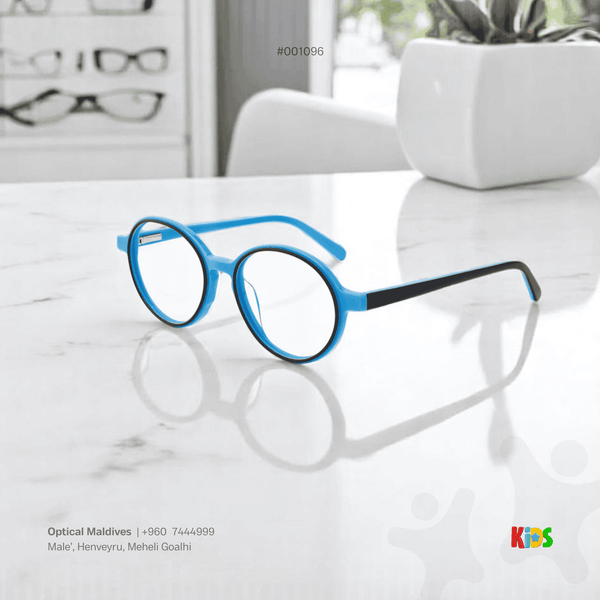 EG1096 | OPTICAL FRAME