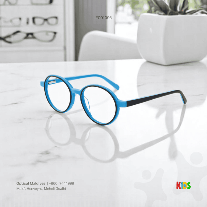 EG1096 | OPTICAL FRAME