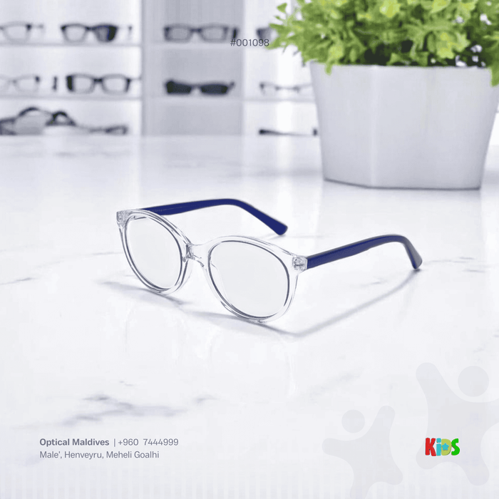 EG1098 | OPTICAL FRAME