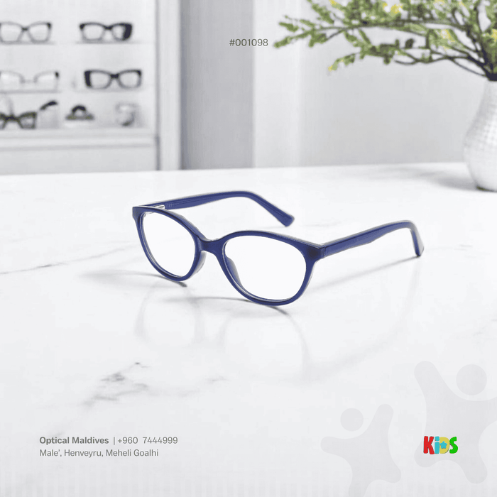 EG1099 | OPTICAL FRAME
