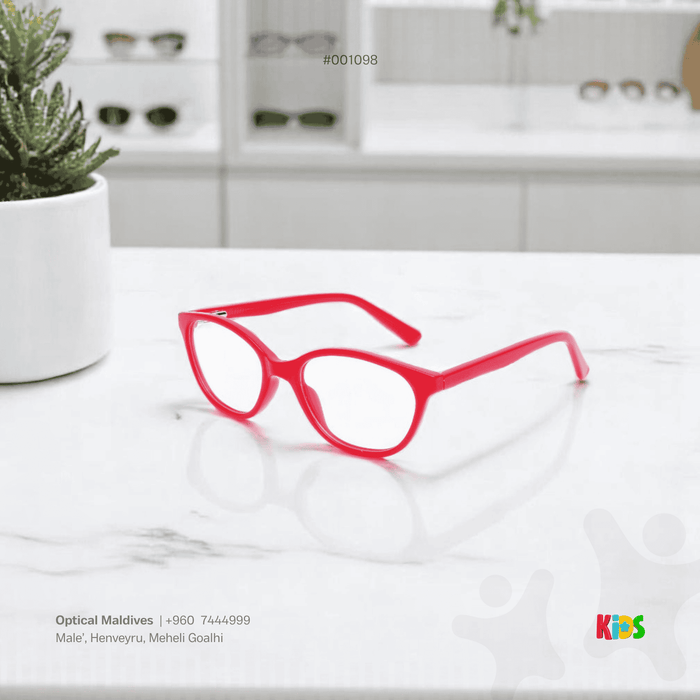 EG1099 | OPTICAL FRAME