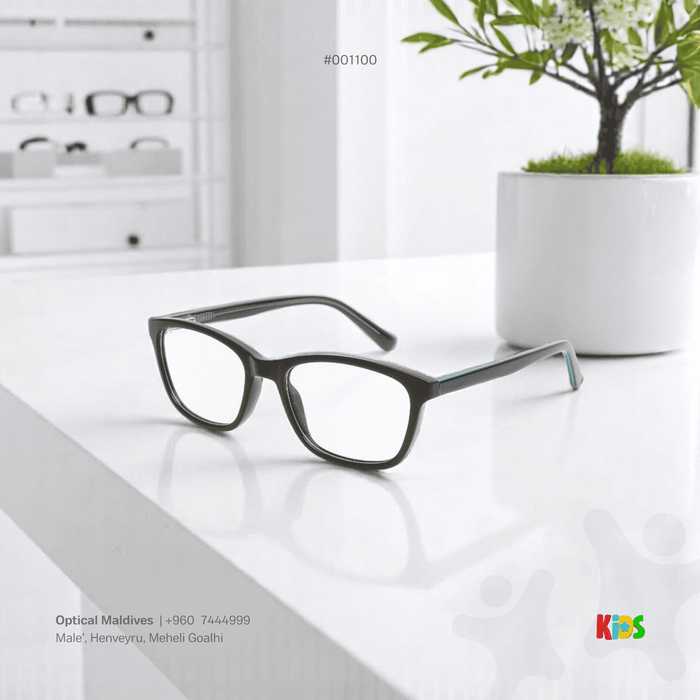 EG1100 | OPTICAL FRAME