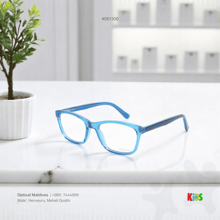 EG1100 | OPTICAL FRAME