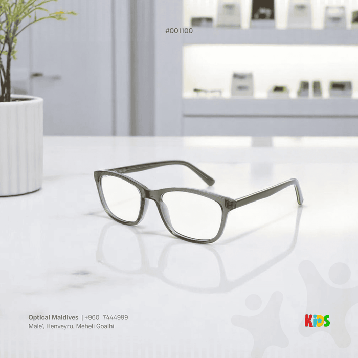 EG1100 | OPTICAL FRAME