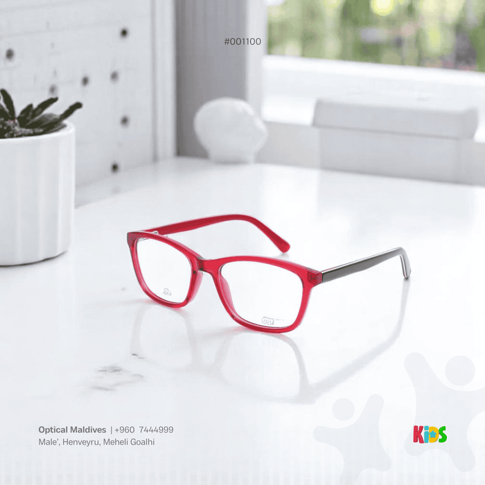 EG1100 | OPTICAL FRAME