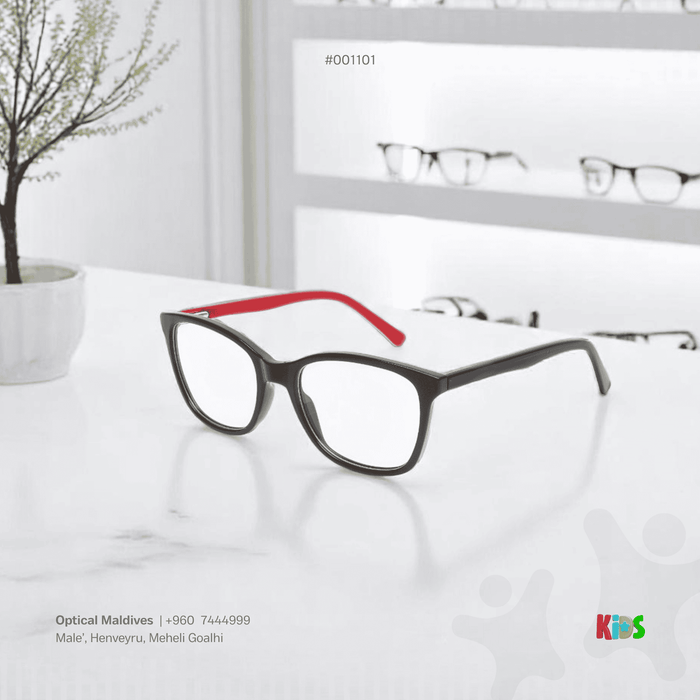 EG1101 | OPTICAL FRAME