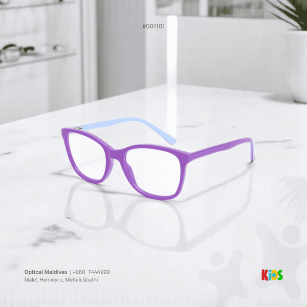 EG1101 | OPTICAL FRAME