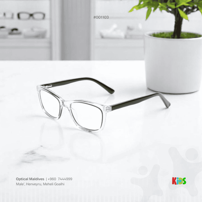 EG1103 | OPTICAL FRAME