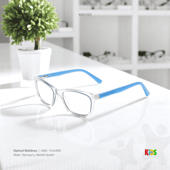 EG1103 | OPTICAL FRAME