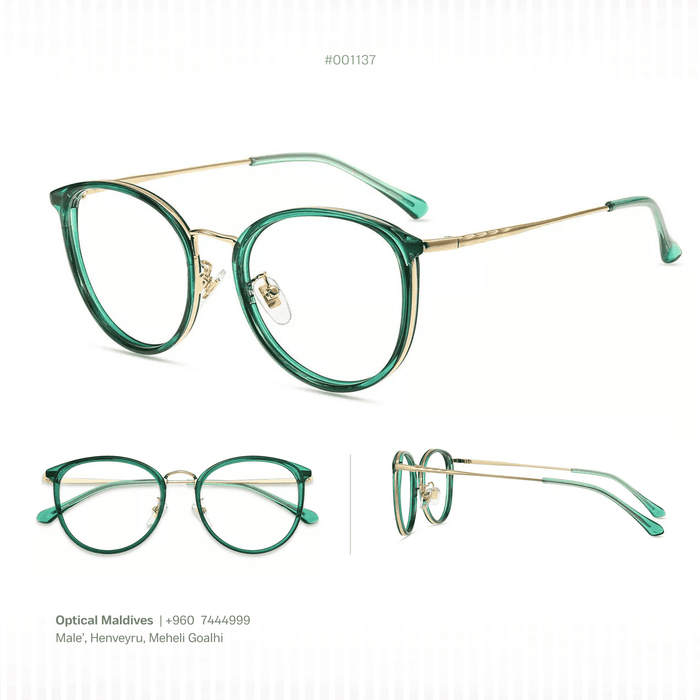 eg1137 | OPTICAL FRAME
