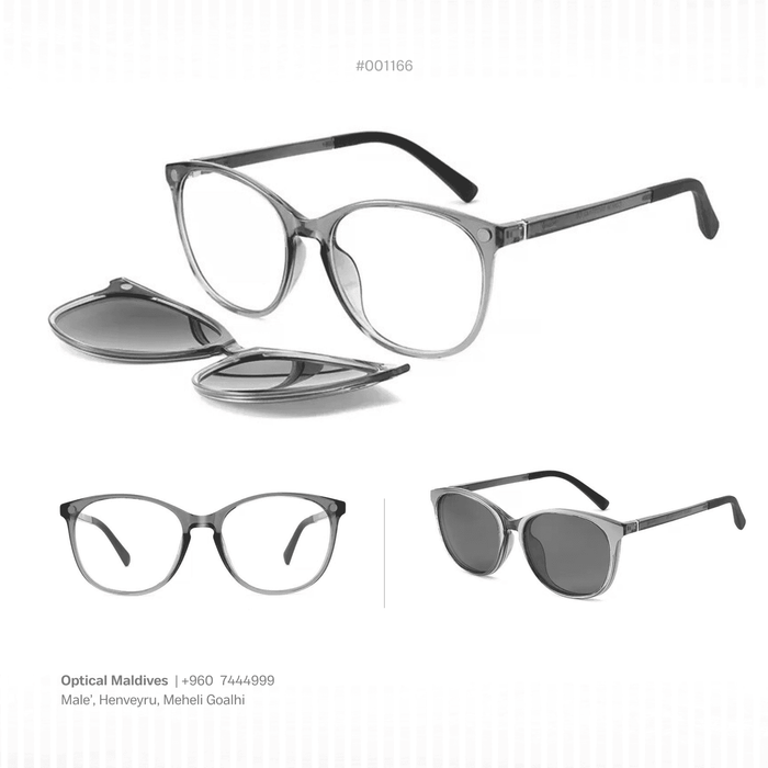 EG1166 | OPTICAL FRAME