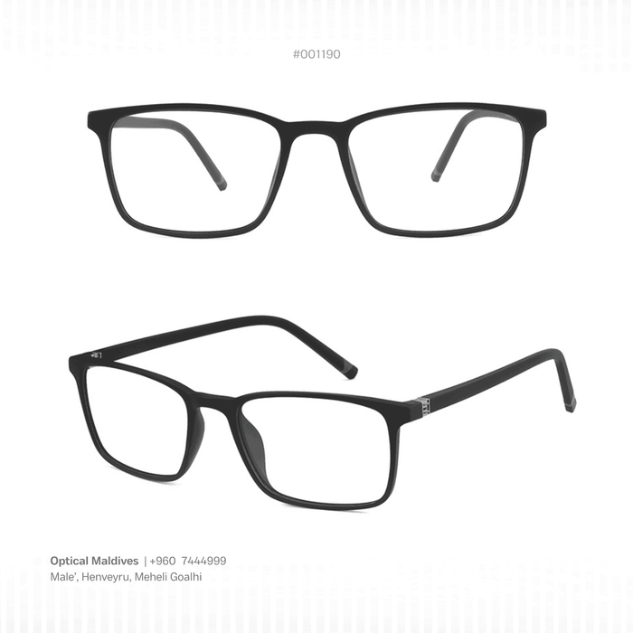 EG1190 | OPTICAL FRAME