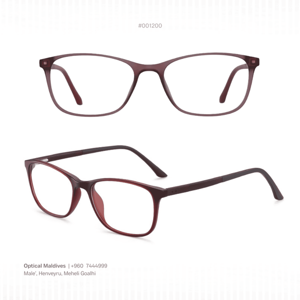EG1200 | OPTICAL FRAME