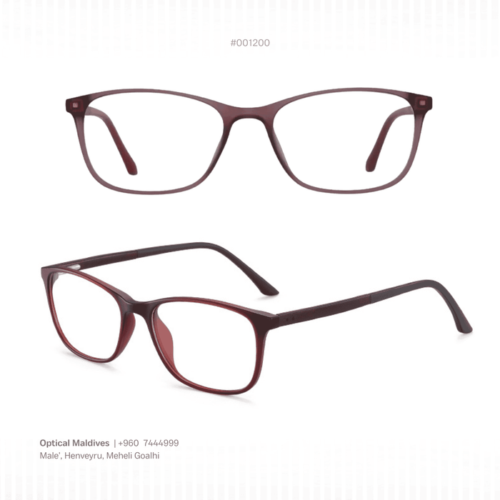 EG1200 | OPTICAL FRAME
