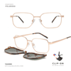 EG1203 | Optical Frame