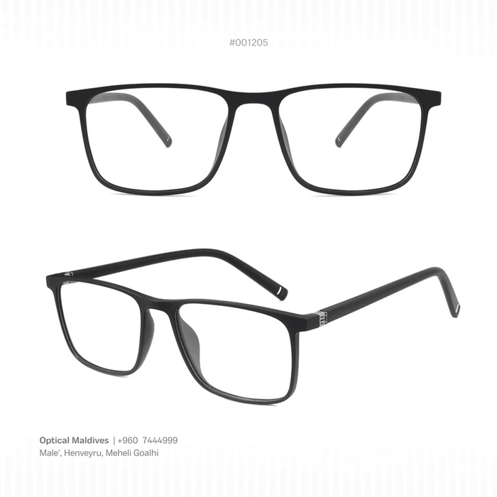 EG1206 | OPTICAL FRAME