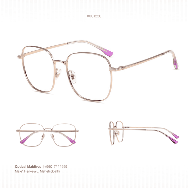 EG1220 | OPTICAL FRAME