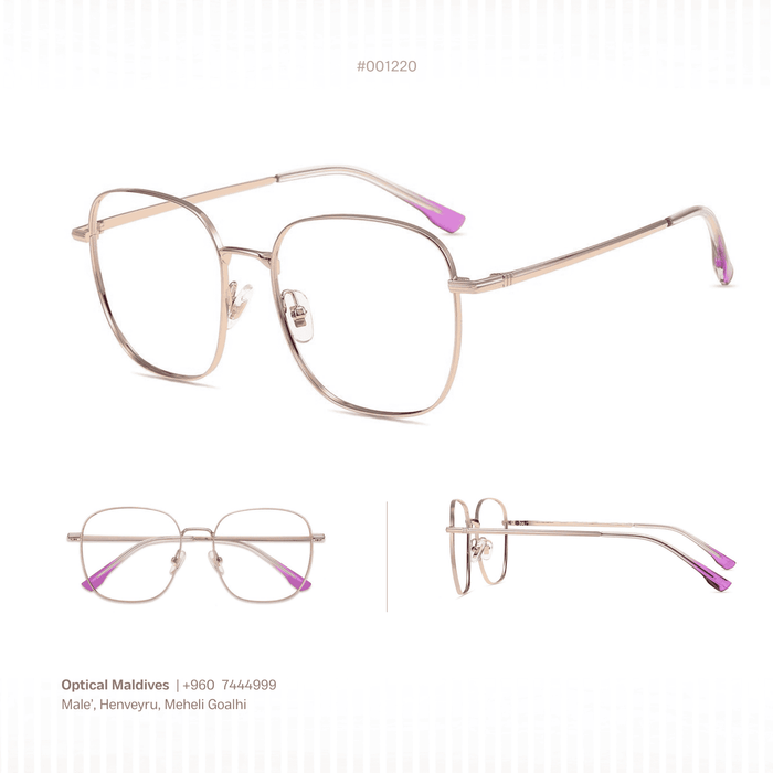 EG1220 | OPTICAL FRAME