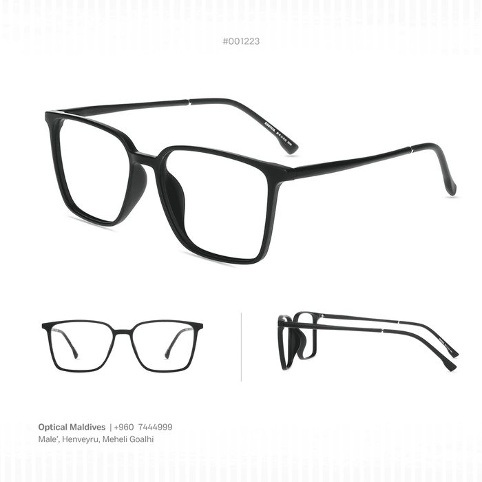 EG1223 | OPTICAL FRAME