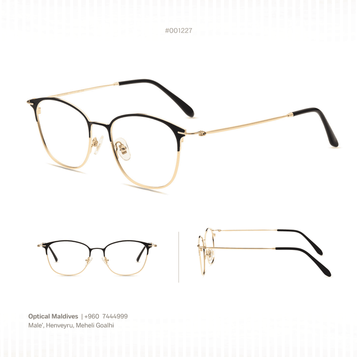 EG1227 | OPTICAL FRAME