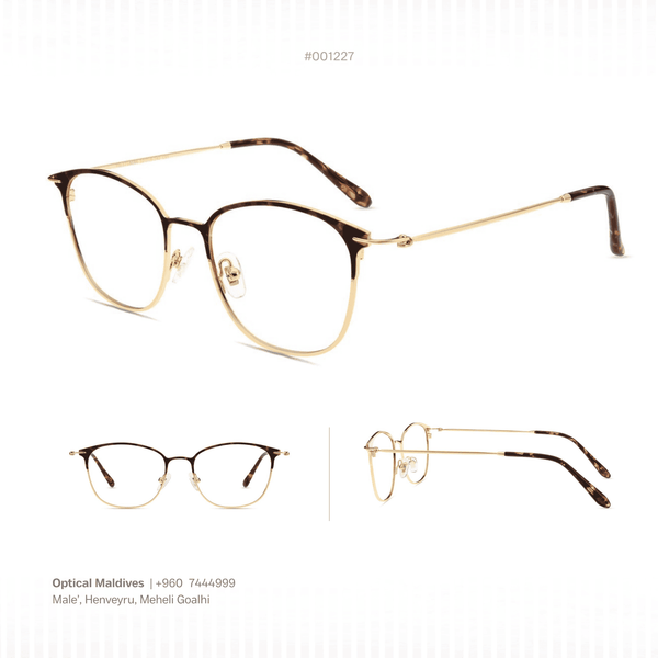 EG1227 | OPTICAL FRAME