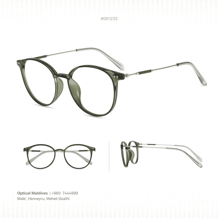 EG1233 | OPTICAL FRAME
