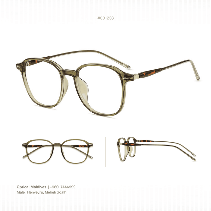 EG1238 | OPTICAL FRAME