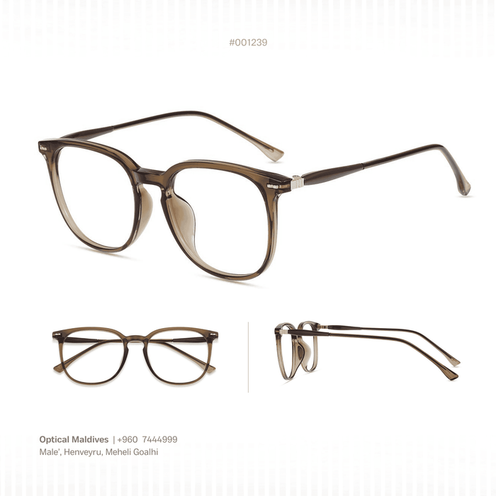 EG1239 | OPTICAL FRAME