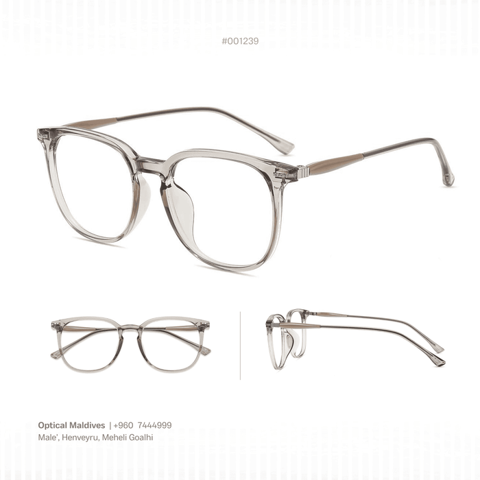 EG1239 | OPTICAL FRAME