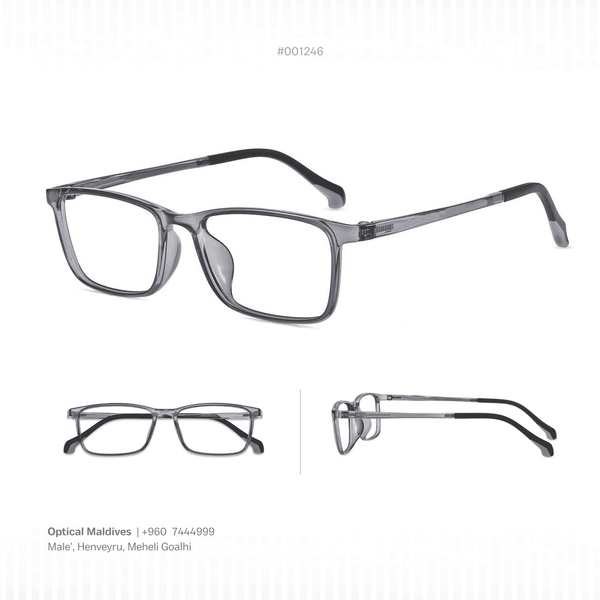 EG1246 | OPTICAL FRAME