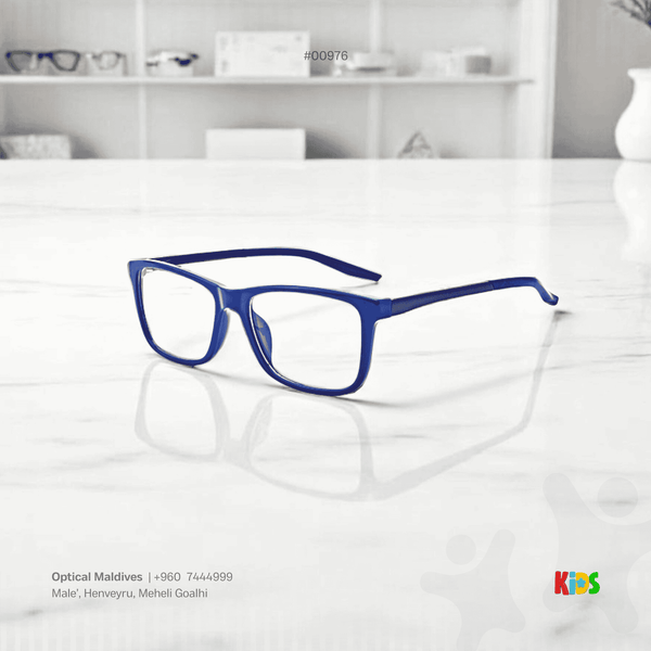 EG976 | OPTICAL FRAME