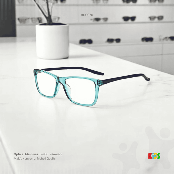 EG976 | OPTICAL FRAME