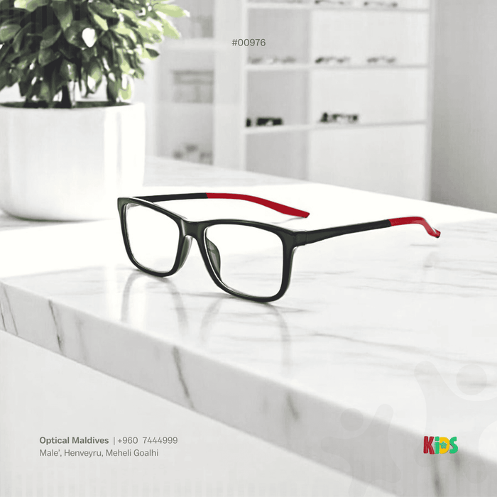 EG976 | OPTICAL FRAME