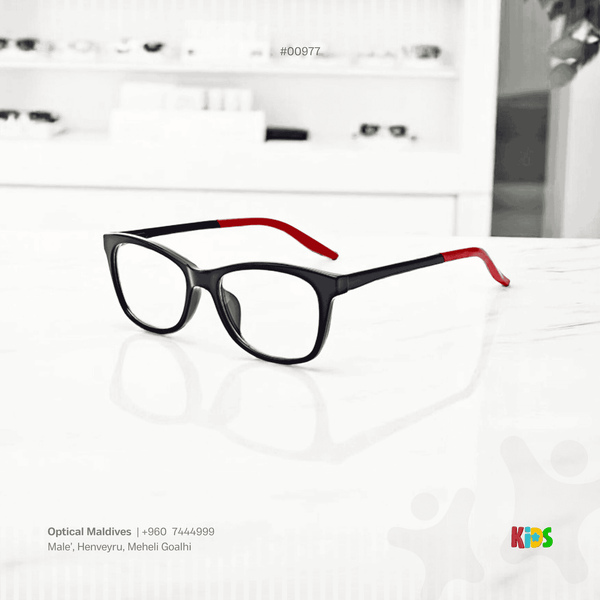 EG977 | OPTICAL FRAME