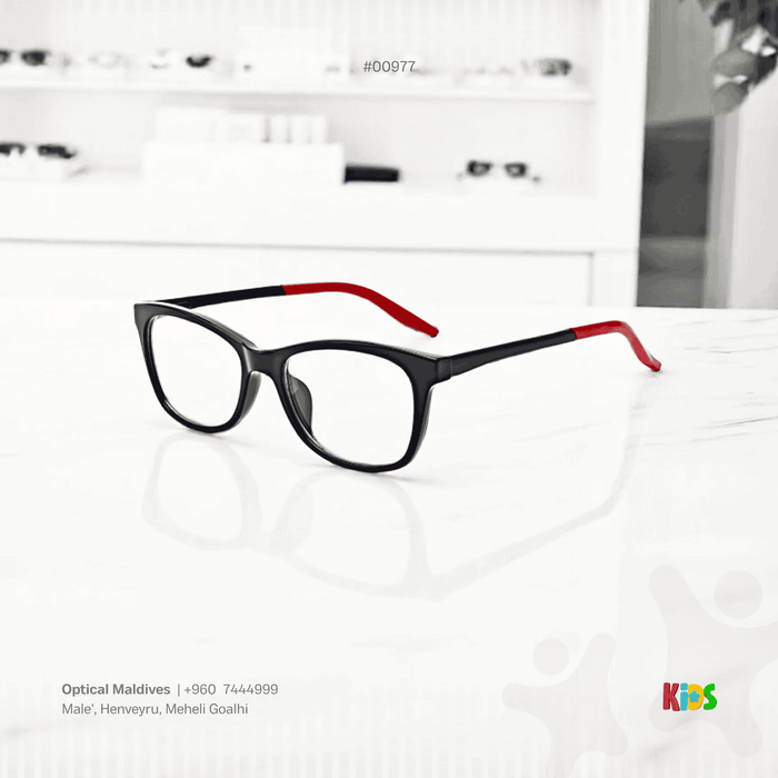 EG977 | OPTICAL FRAME
