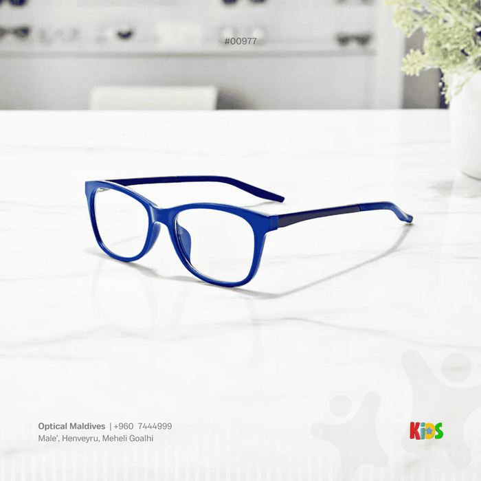 EG977 | OPTICAL FRAME