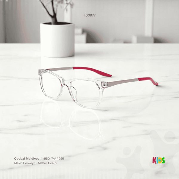 EG977 | OPTICAL FRAME