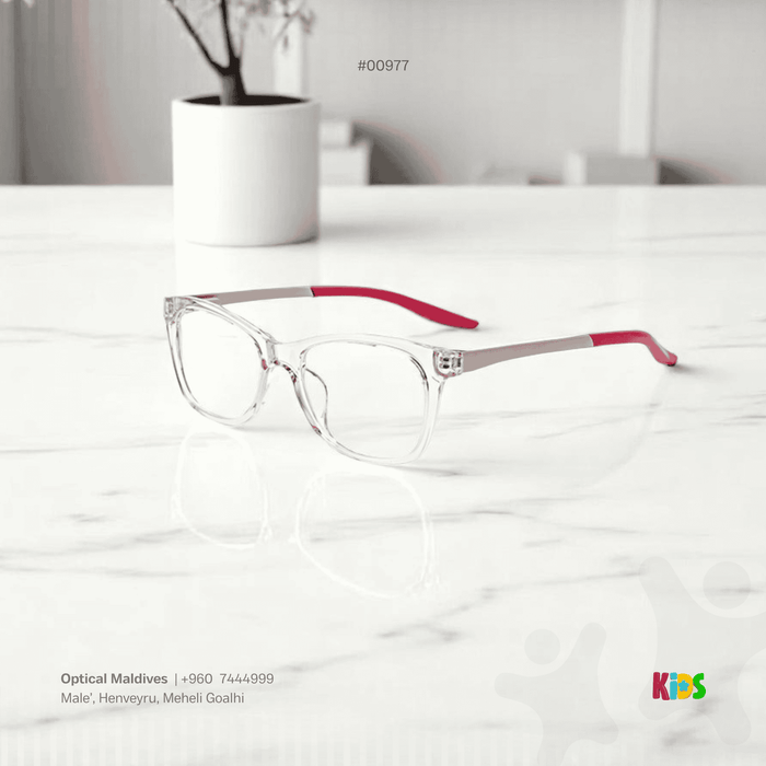EG977 | OPTICAL FRAME