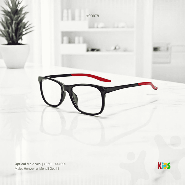 EG978 | OPTICAL FRAME