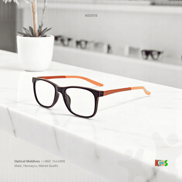 EG978 | OPTICAL FRAME