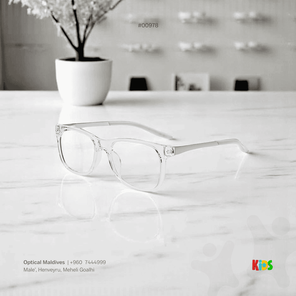 EG978 | OPTICAL FRAME