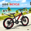 PB1016 | Bicycle