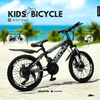 PB1017 | Bicycle